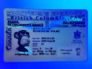 CAN British Columbia(CAN BC DL 2023 PolyCard)
