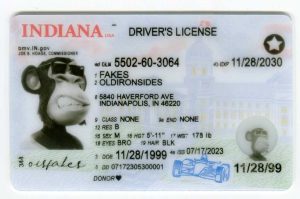 Indiana Driver License(New IN 2022 PolyCard)