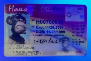 Hawaii Driver License(HI)