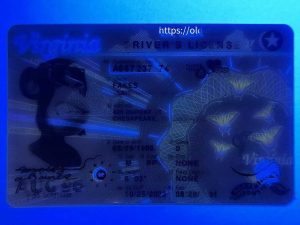 Virginia Driver License(VA 2023 PolyCard)