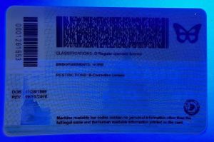 Idaho Driver License(ID)