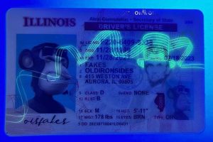 Illinois Driver License(New IL)