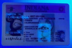 Indiana Driver License(Old IN)