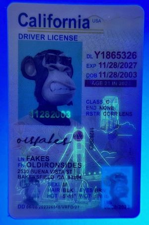 California Driver License(New CA U21)