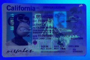 California Driver License(New CA O21)