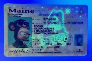 Maine Driver License(New ME)