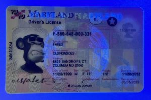 Maryland Driver License(New MD)