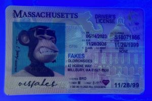 Massachusetts Driver License(New MA O21)