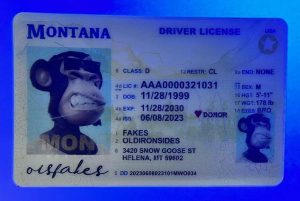 Montana Driver License(MT)