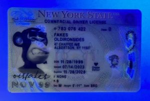 New York Driver License(New NY 2022 PolyCard V4)