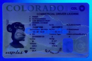 Colorado Commercial Driver License(New CO CDL)