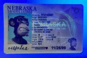 Nebraska Driver License(New NE)