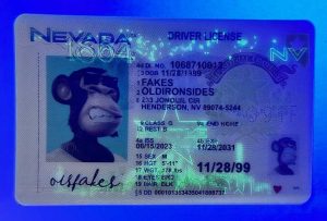 Nevada Driver License(New NV)