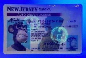 New Jersey Driver License(NJ 2021)