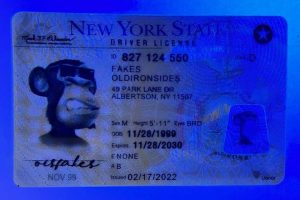 New York Driver License(NY O21 2020)