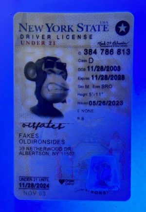 New York Driver License(NY U21 2020)