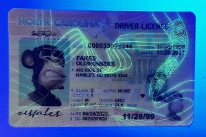 North Carolina Driver License(Old NC)