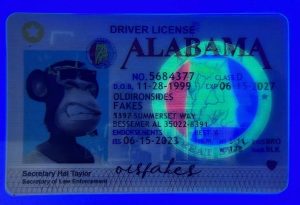 Alabama Driver License(AL)