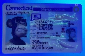 Connecticut Driver License(New CT)