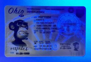 Ohio Driver License(New OH)
