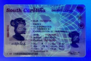 South Carolina Driver License(New SC O21)