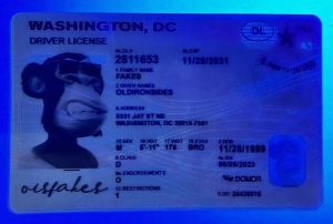 Washington DC Driver License(DC)