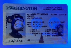 West Virginia Driver License(WV)