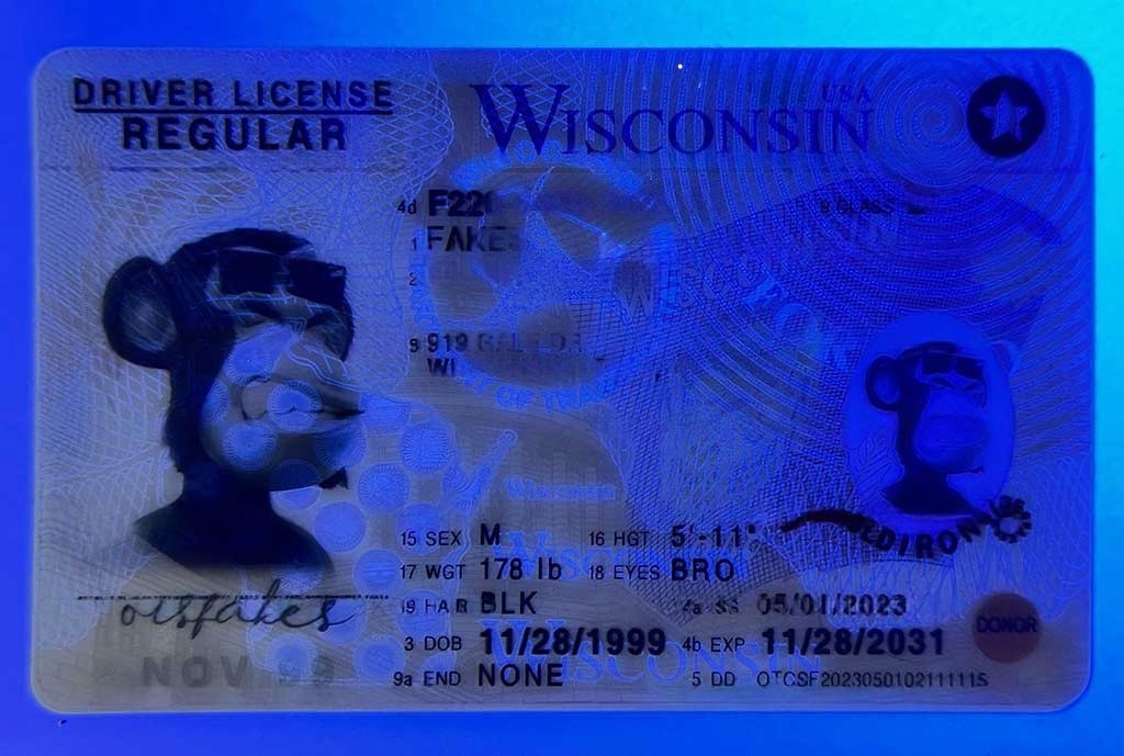 59 Wisconsin Driver License(WI)