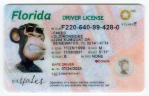 Florida Driver License(New FL O21 NEW 2022 PolyCard)