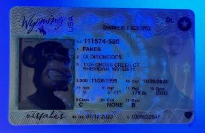 Wyoming Driver License(WY)