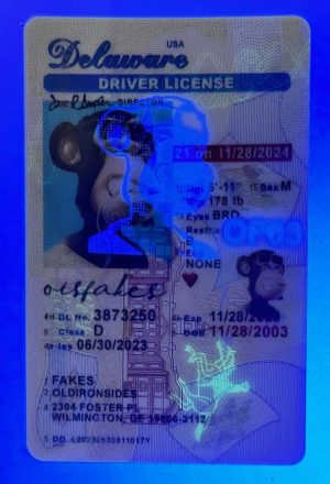 Delaware Driver License(New DE U21)