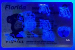 Florida Driver License(New FL O21)