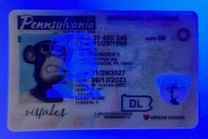 Pennsylvania Driver License(New PA O21 2022 PolyCard)
