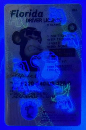 Florida Driver License(New FL U21 DRIVER)