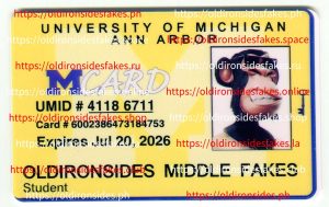 MI ANN ARBOR University